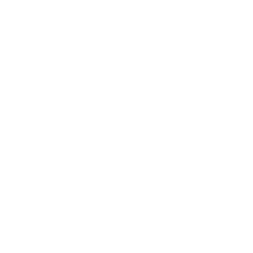  Vodafone Czech Republic a.s.</br>Tvrz Malešov, 30 osob, 2 dny